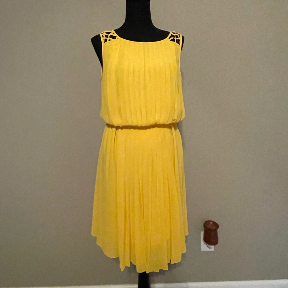 Jessica Simpson Woman’s Dress